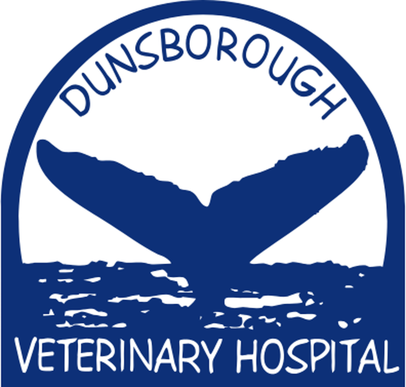 Dunsborough Vet Hospital logo